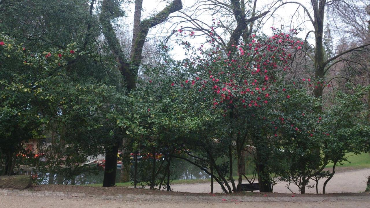 Hotel Do Parque บรากา ภายนอก รูปภาพ